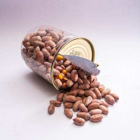 سودانى مينى